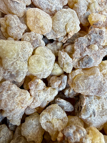 Papyrifera Frankincense Sudan (Boswellia Papyrifera)